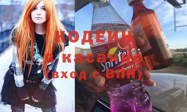 крисы Абаза