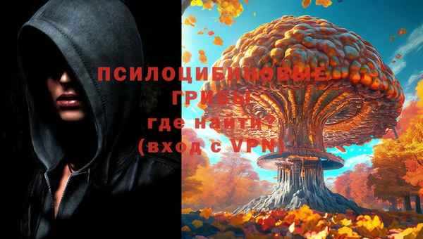 крисы Абаза