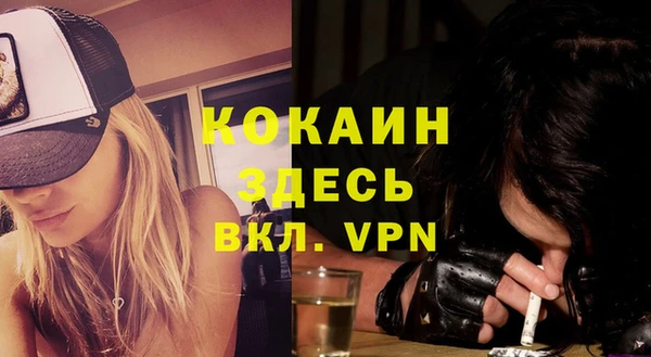 крисы Абаза